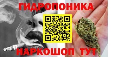 соль ск Кулебаки