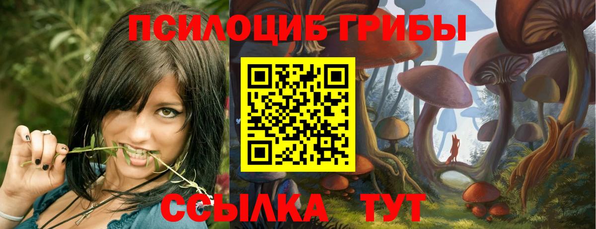 Галлюциногенные грибы Magic Shrooms  Вход с VPN  Лесозаводск 