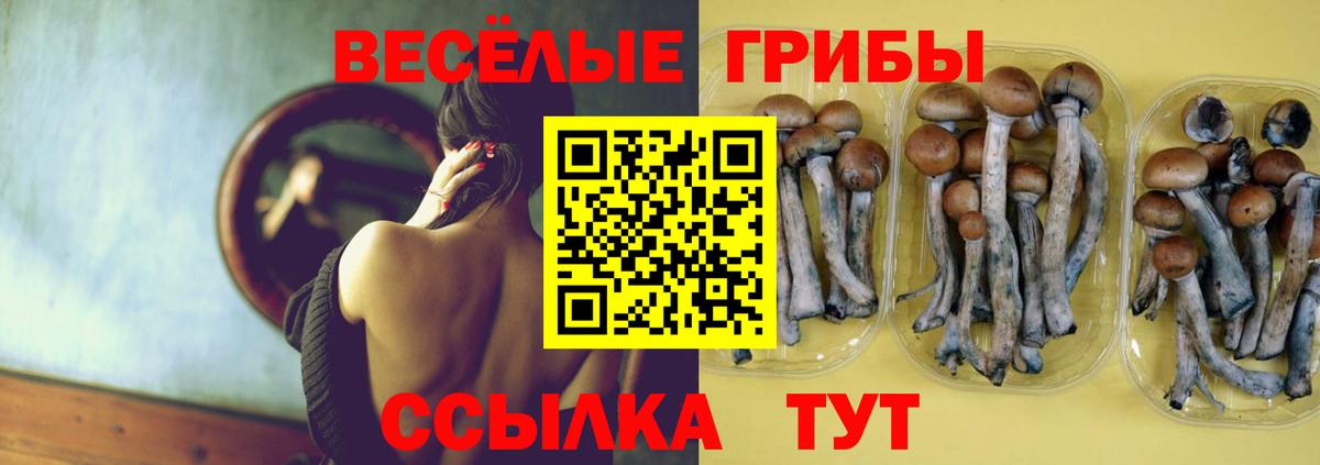 Галлюциногенные грибы GOLDEN TEACHER Лесозаводск